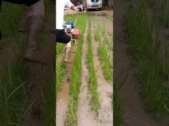 ویدر چند کاره